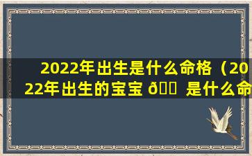 2022年出生是什么命格（2022年出生的宝宝 🐠 是什么命）